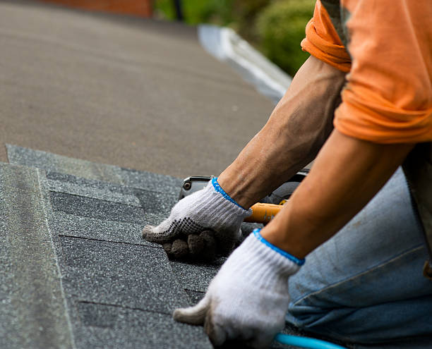 Best Roof Gutter Cleaning  in West Deland, FL